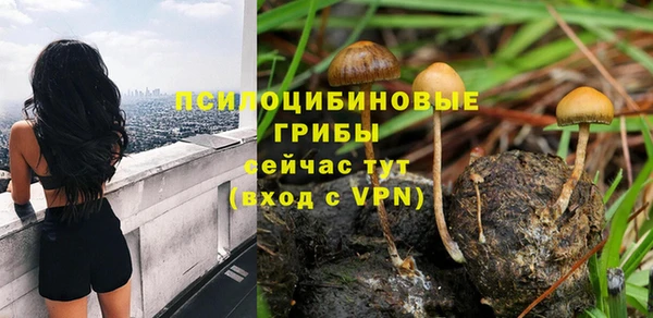 метадон Аркадак