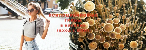соль курить ск Арсеньев