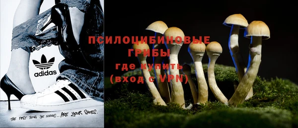 метадон Аркадак